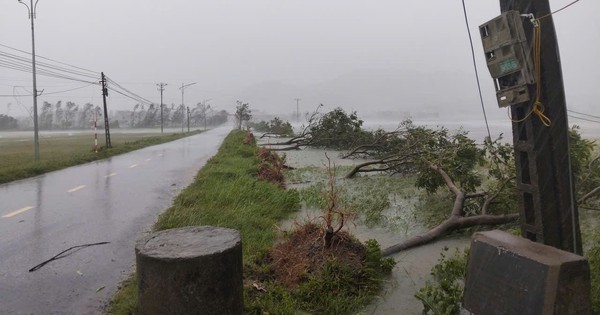 Bão số 5 đổ bộ gây gió mạnh, mưa lớn, Thủ tướng chỉ đạo tập trung ứng phó, bảo đảm an toàn tính mạng Nhân dân