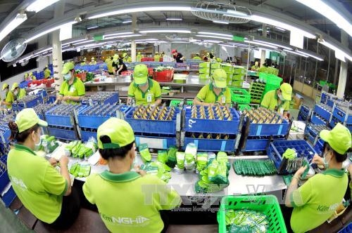 Tăng trưởng quý III sẽ lạc quan hơn