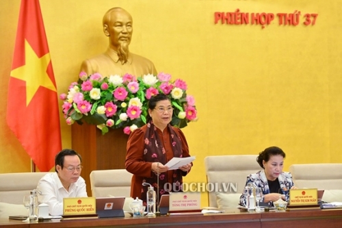 Giảm nghèo vùng dân tộc thiểu số, miền núi chưa thực sự bền vững Giảm nghèo vùng dân tộc thiểu số, miền núi chưa thực sự bền vững