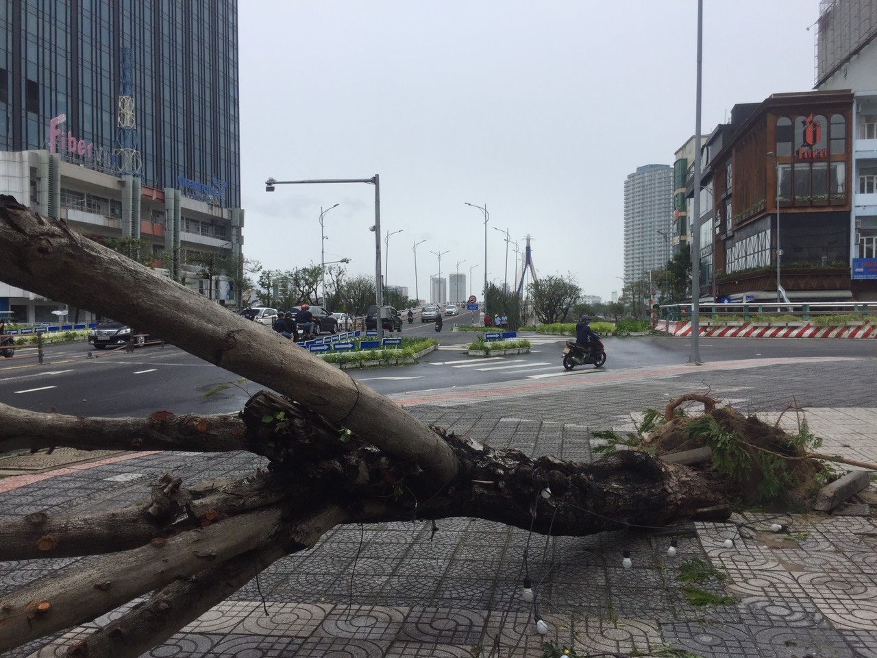 da nang ngon ngang sau bao noru