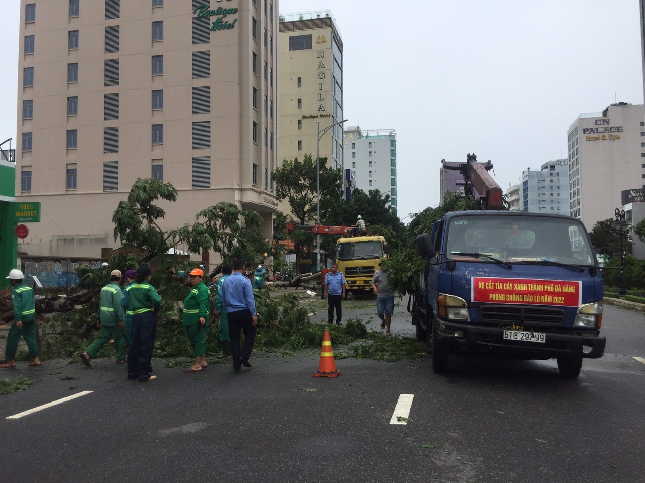 da nang ngon ngang sau bao noru