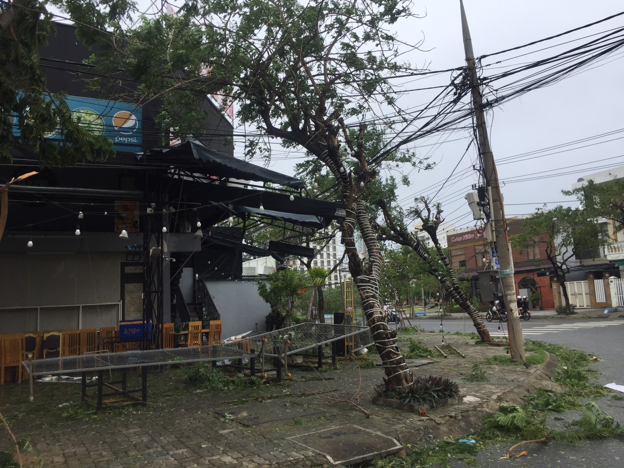 da nang ngon ngang sau bao noru