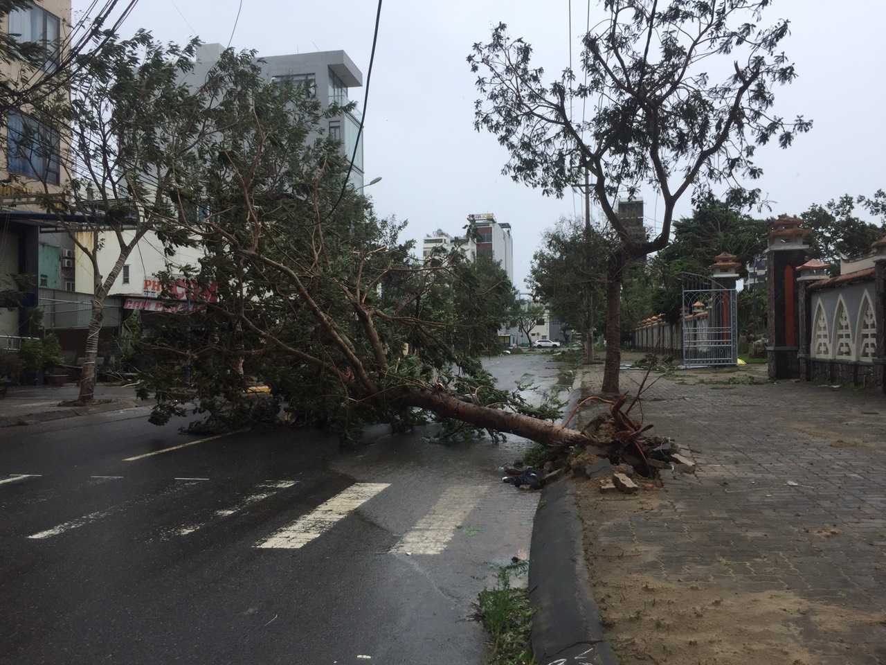 da nang ngon ngang sau bao noru