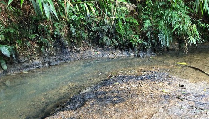 Nhiều câu hỏi sau vụ ô nhiễm nước sinh hoạt Nhiều câu hỏi sau vụ ô nhiễm nước sinh hoạt