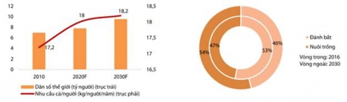 Thống lĩnh thị trường toàn cầu, cá da trơn Việt Nam 'nhòm ngó' cơ hội từ EU, Trung Quốc