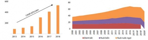 Thống lĩnh thị trường toàn cầu, cá da trơn Việt Nam 'nhòm ngó' cơ hội từ EU, Trung Quốc