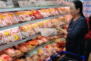 Nhập khẩu thịt gà tăng mạnh do “hiệu ứng” dịch tả lợn châu Phi