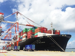 Giữa bối cảnh Covid-19, hàng container qua cảng biển vẫn tăng 12%