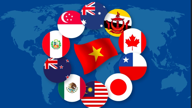 Áp dụng các biện pháp tự vệ đặc biệt để thực thi Hiệp định CPTPP Áp dụng các biện pháp tự vệ đặc biệt để thực thi Hiệp định CPTPP