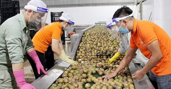 undefined Bộ Công Thương khuyến cáo doanh nghiệp cập nhật quy định mới của Trung Quốc về xuất khẩu thực phẩm