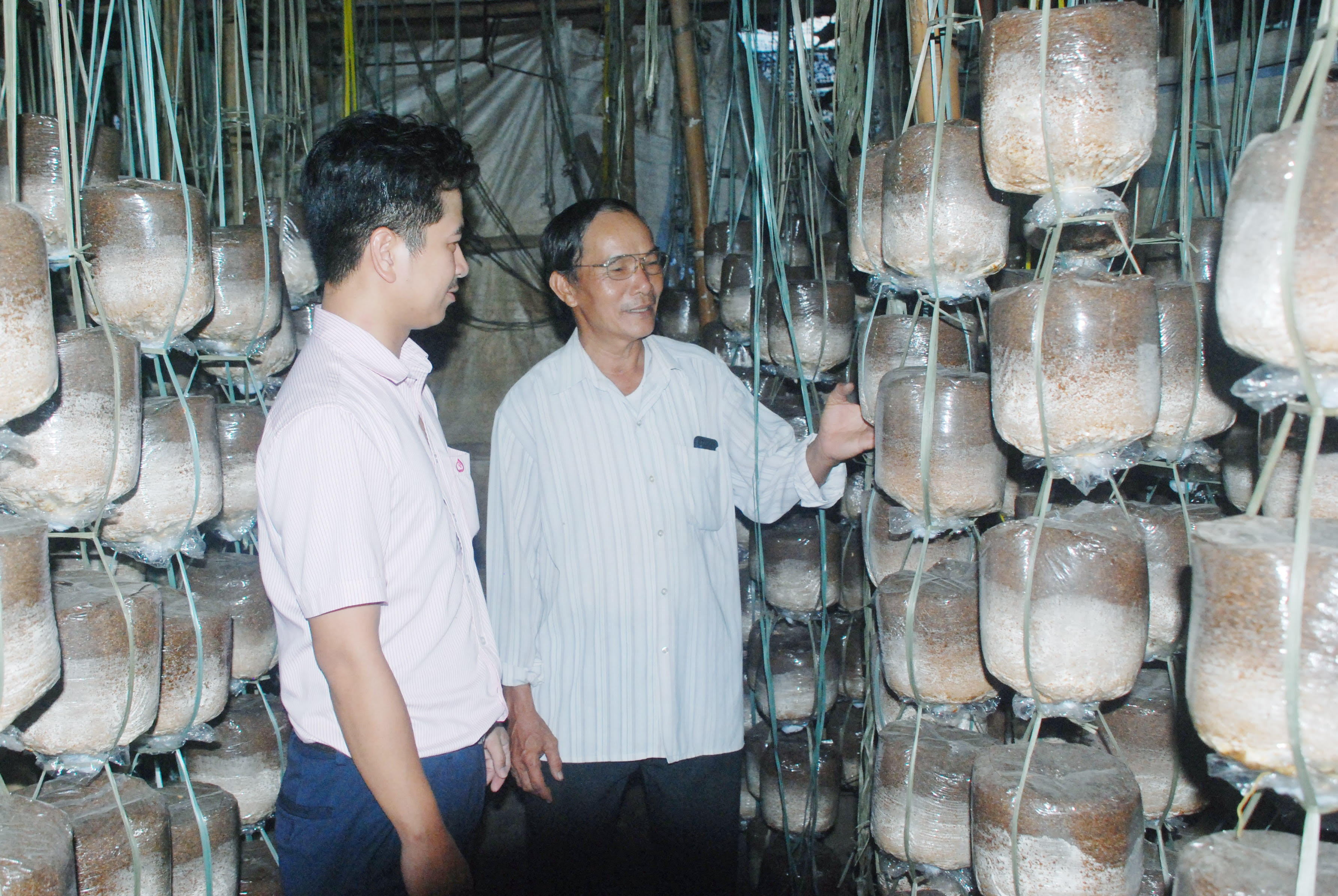 tin dung chinh sach chap canh cho ho ngheo