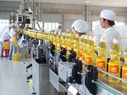 SCIC bán đấu giá hơn 44,2 triệu cổ phần tại Vocarimex