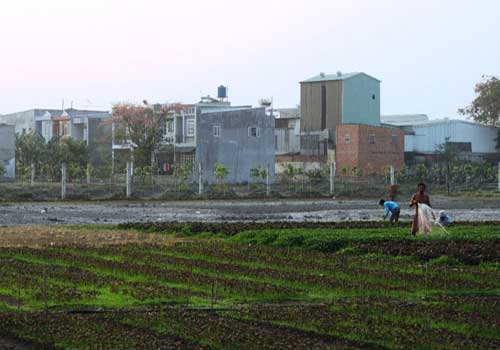 Kéo dài thời hạn thực hiện hạng đất tính thuế sử dụng đất nông nghiệp keo dai thoi han thuc hien hang dat tinh thue su dung dat nong nghiep