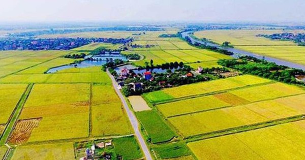 undefined Tính tiền sử dụng đất khi chuyển từ đất nông nghiệp sang đất ở