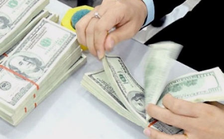 Tỷ giá ổn định khi cung cầu ngoại tệ cân bằng