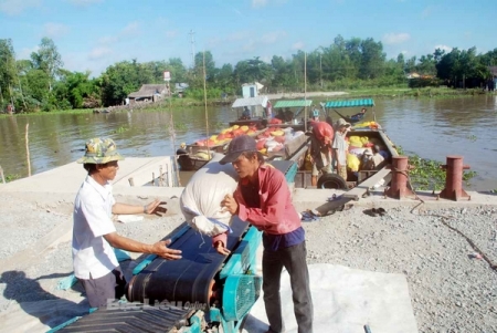 Ngân hàng chủ động hơn với tín dụng tam nông