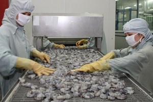 ĐBSCL phấn đấu đạt 2,55 tỷ USD kim ngạch xuất khẩu tôm ĐBSCL phấn đấu đạt 2,55 tỷ USD kim ngạch xuất khẩu tôm