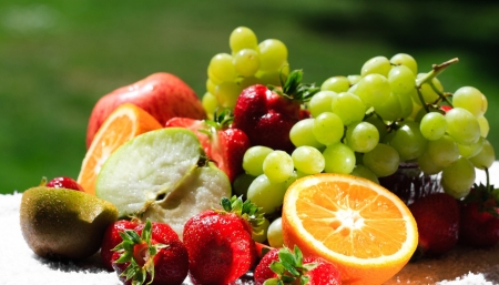 Hội thảo chung tay kiến tạo nguồn thực phẩm hữu cơ