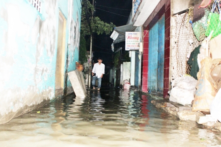 Ngõ hẻm thời ô nhiễm