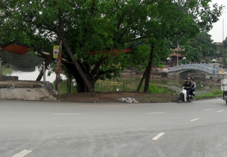 Cần nghiên cứu tổng thể Dự án Khu sinh thái xã Đình Xuyên, huyện Gia lâm