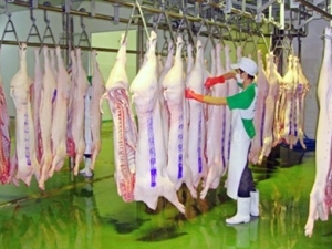 Hà Nội: Sắp có nhà máy chế biến thịt bò công nghệ Nhật