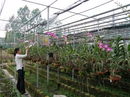 TP. Hồ Chí Minh: Nhiều dự án nông nghiệp kêu vốn