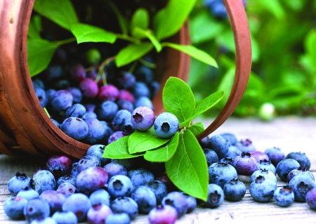 Suy giảm trí nhớ do cuộc sống hiện đại Suy giảm trí nhớ do cuộc sống hiện đại