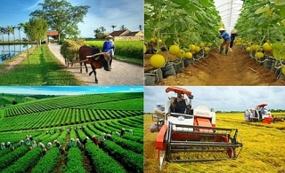Hơn 1.600 doanh nghiệp đầu tư vào nông nghiệp