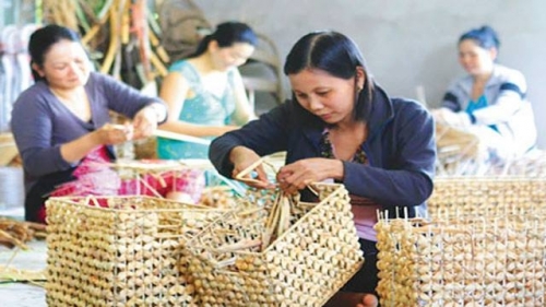 Năm 2030, gần 6 triệu người có nhu cầu đào tạo nghề nông nghiệp Năm 2030, gần 6 triệu người có nhu cầu đào tạo nghề nông nghiệp