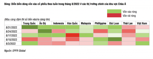 cac quy chu dong giai ngan vao thi truong chung khoan viet