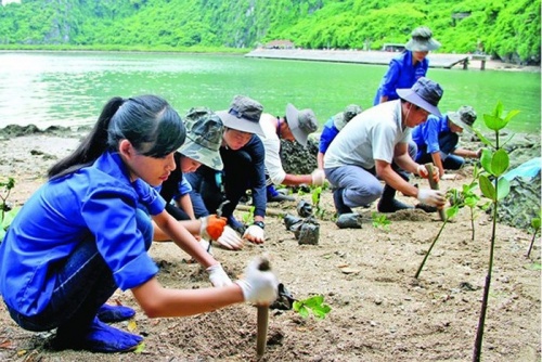 ADB sẽ nâng tài trợ khí hậu lên 100 tỷ USD adb se nang tai tro khi hau len 100 ty usd