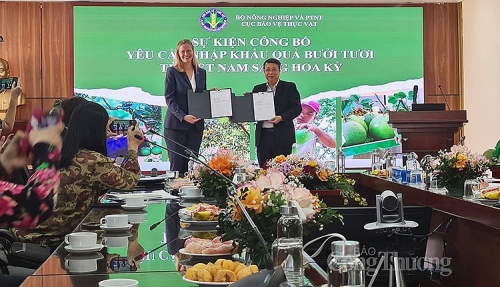 buoi la loai trai cay tuoi thu 7 duoc phep nhap khau vao hoa ky