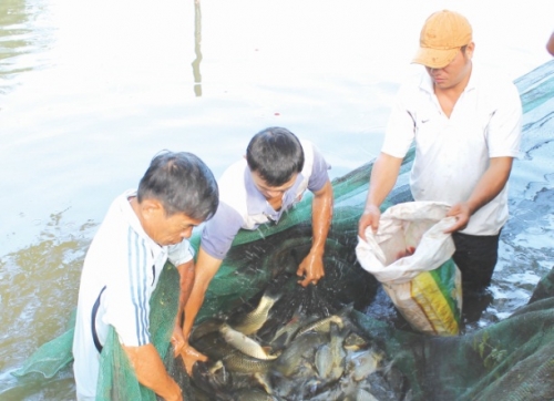 Dư địa cho xuất khẩu thủy sản còn lớn