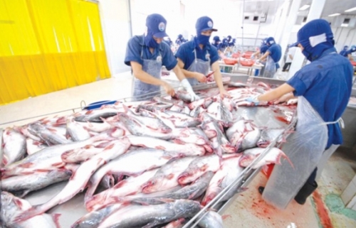 Đồng Tháp: Tiếp vốn cho ngành thủy sản