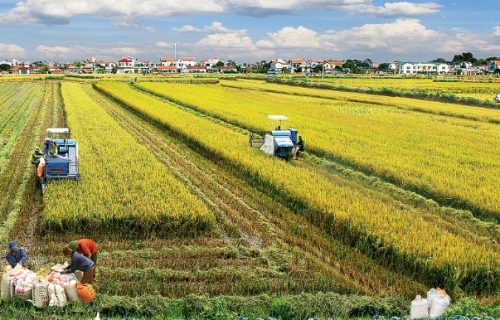Ngành Ngân hàng Thái Bình: Đồng hành cùng kinh tế địa phương Ngành Ngân hàng Thái Bình: Đồng hành cùng kinh tế địa phương