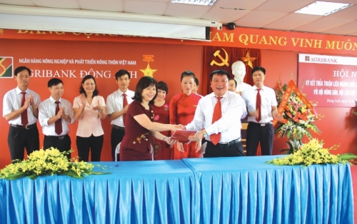 Đồng vốn mang sức sống cho các trang trại