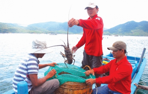 Điểm tựa cho phát triển nông nghiệp