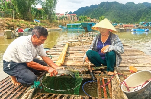 Hiệu quả vốn vay ưu đãi ở Bố Trạch