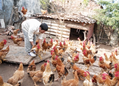 Nỗi lo của ngành Nông nghiệp