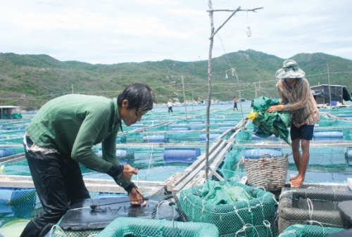 Phú Yên cần sớm đánh thức tiềm lực Phú Yên cần sớm đánh thức tiềm lực