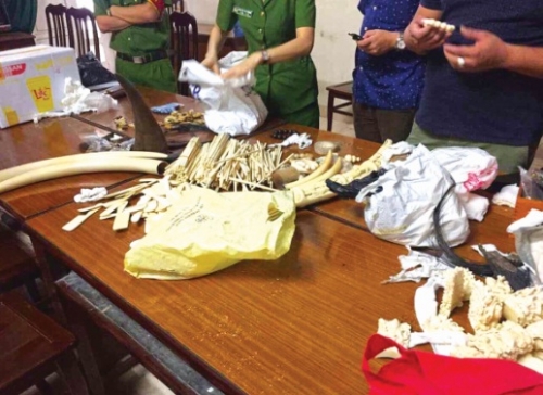 Buôn bán động vật hoang dã: Cần mạnh tay và xử lý nghiêm Buôn bán động vật hoang dã: Cần mạnh tay và xử lý nghiêm