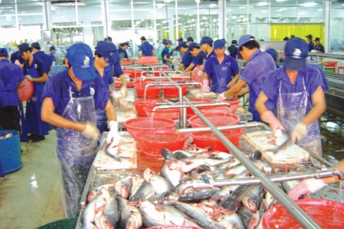 Thủy sản phát triển thị trường ngách