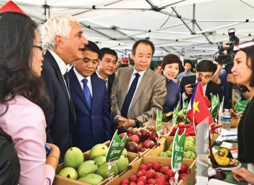 Khoảng trống sở hữu trí tuệ trong nông sản Việt