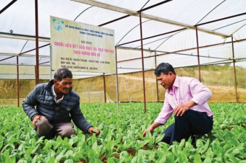 Để nông nghiệp hữu cơ cất cánh