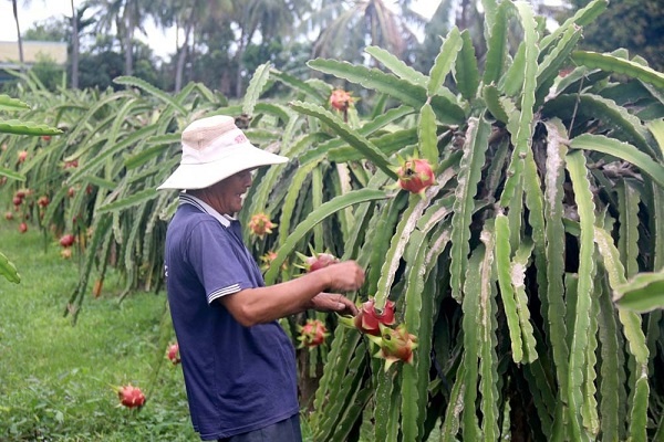 can von moi cho tin dung tam nong