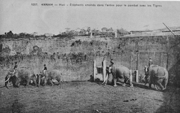 Khám phá Hổ Quyền