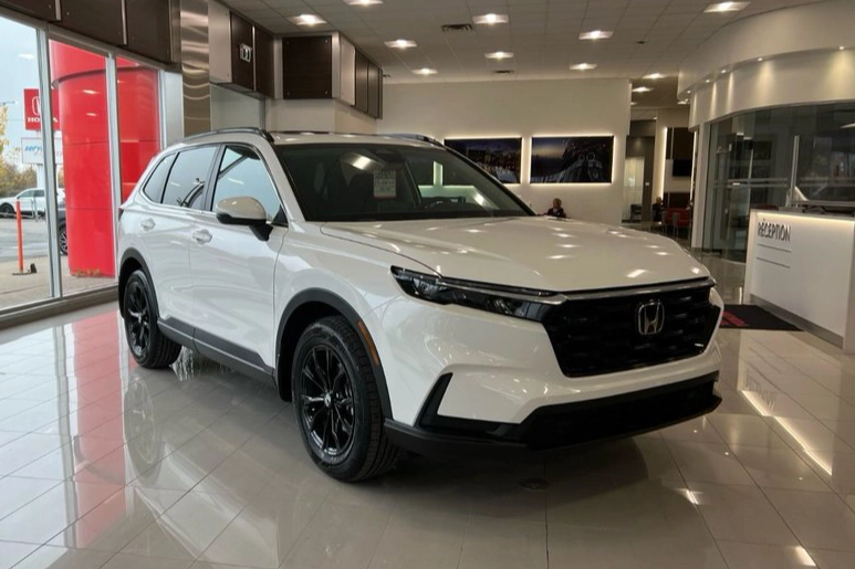 Những mẫu ô tô có thể sẽ về Việt Nam trong năm nay