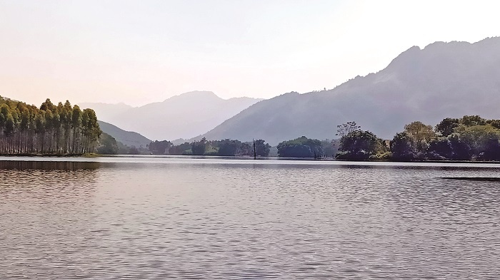 Về với thiên nhiên xanh