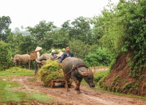 Chuẩn nghèo đa chiều và các tác động