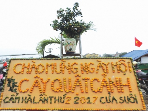 Ngày hội quất cảnh